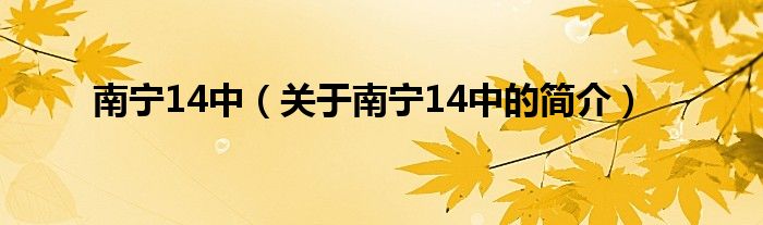 南宁14中（关于南宁14中的简介）