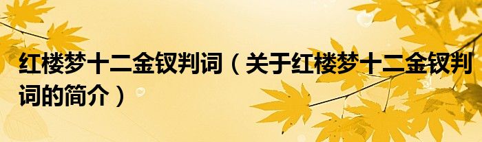 红楼梦十二金钗判词（关于红楼梦十二金钗判词的简介）