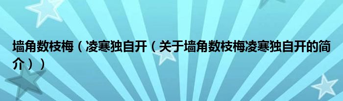 墙角数枝梅（凌寒独自开（关于墙角数枝梅凌寒独自开的简介））