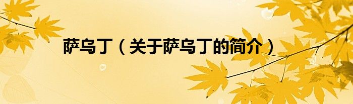 萨乌丁（关于萨乌丁的简介）