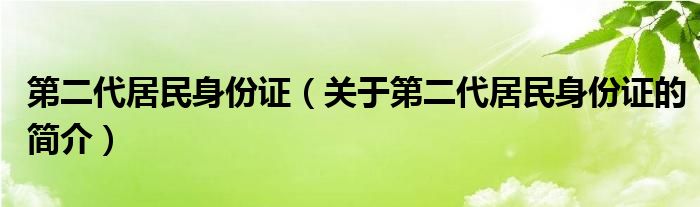 第二代居民身份证（关于第二代居民身份证的简介）