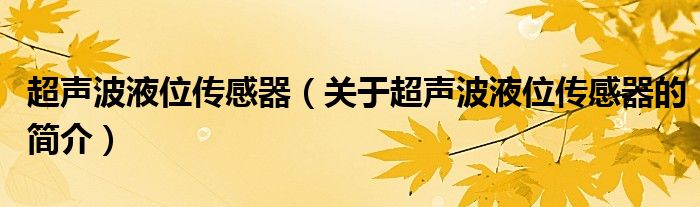 超声波液位传感器（关于超声波液位传感器的简介）