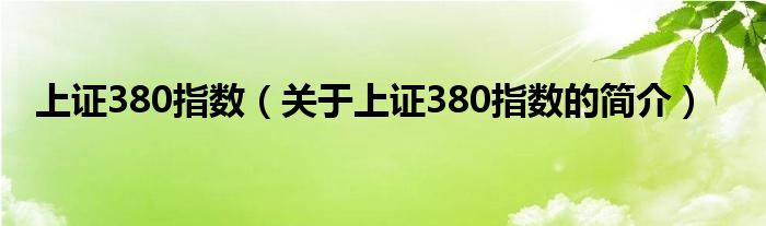 上证380指数（关于上证380指数的简介）