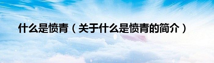 什么是愤青（关于什么是愤青的简介）