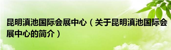 昆明滇池国际会展中心（关于昆明滇池国际会展中心的简介）