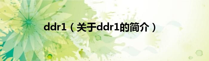 ddr1（关于ddr1的简介）