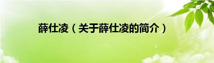 薛仕凌（关于薛仕凌的简介）