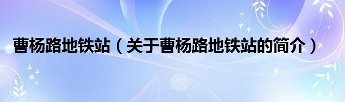 曹杨路地铁站（关于曹杨路地铁站的简介）