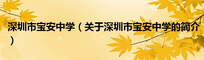 深圳市宝安中学（关于深圳市宝安中学的简介）