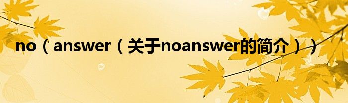 no（answer（关于noanswer的简介））