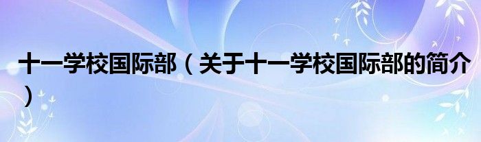 十一学校国际部（关于十一学校国际部的简介）