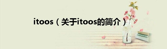 itoos（关于itoos的简介）