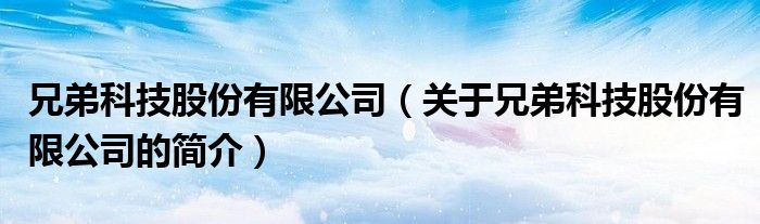 兄弟科技股份有限公司（关于兄弟科技股份有限公司的简介）