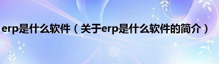 erp是什么软件（关于erp是什么软件的简介）