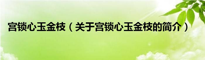 宫锁心玉金枝（关于宫锁心玉金枝的简介）