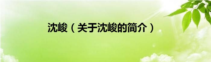 沈峻（关于沈峻的简介）