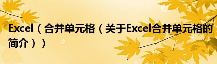 Excel（合并单元格（关于Excel合并单元格的简介））