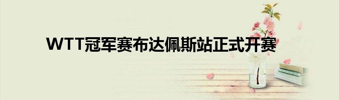 WTT冠军赛布达佩斯站正式开赛