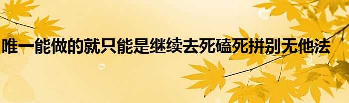 唯一能做的就只能是继续去死磕死拼别无他法