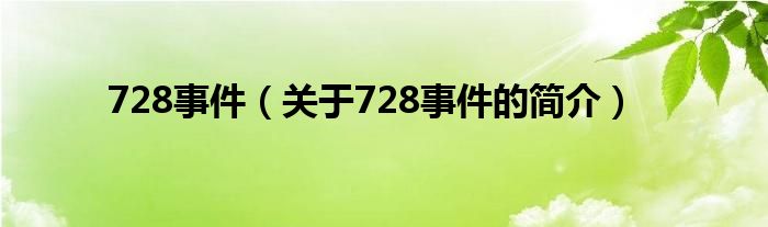 728事件（关于728事件的简介）