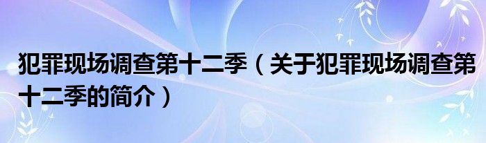 犯罪现场调查第十二季（关于犯罪现场调查第十二季的简介）