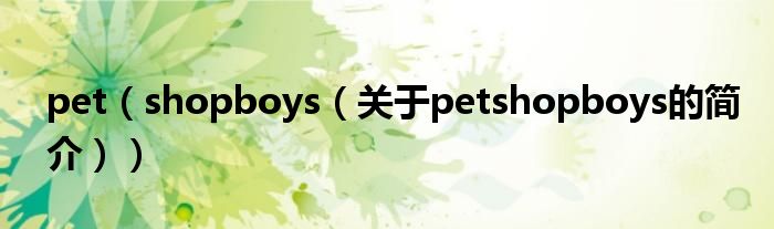 pet（shopboys（关于petshopboys的简介））