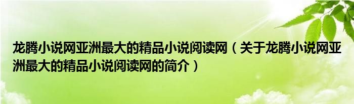 龙腾小说网亚洲最大的精品小说阅读网（关于龙腾小说网亚洲最大的精品小说阅读网的简介）