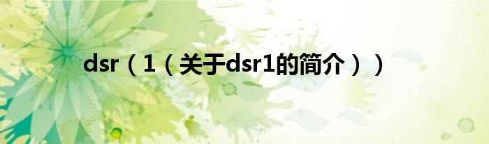 dsr（1（关于dsr1的简介））