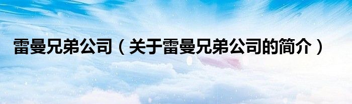 雷曼兄弟公司（关于雷曼兄弟公司的简介）