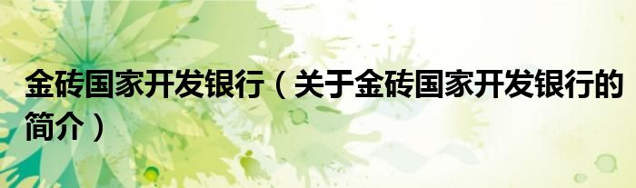 金砖国家开发银行（关于金砖国家开发银行的简介）