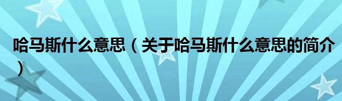 哈马斯什么意思（关于哈马斯什么意思的简介）