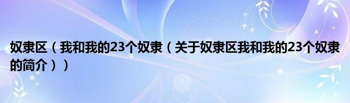 奴隶区（我和我的23个奴隶（关于奴隶区我和我的23个奴隶的简介））