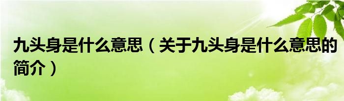 九头身是什么意思（关于九头身是什么意思的简介）