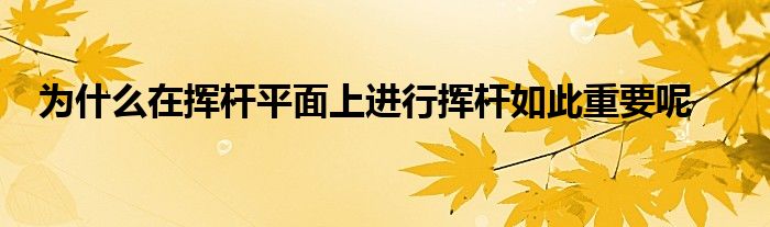 为什么在挥杆平面上进行挥杆如此重要呢