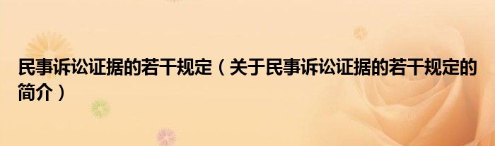 民事诉讼证据的若干规定（关于民事诉讼证据的若干规定的简介）