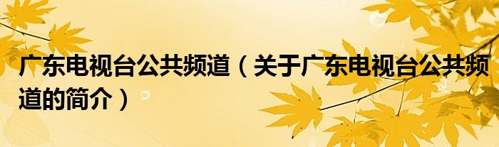 广东电视台公共频道（关于广东电视台公共频道的简介）