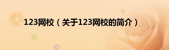 123网校（关于123网校的简介）