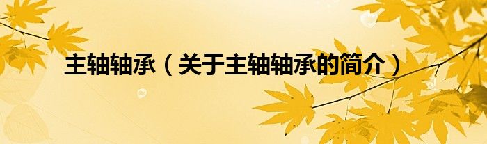 主轴轴承（关于主轴轴承的简介）