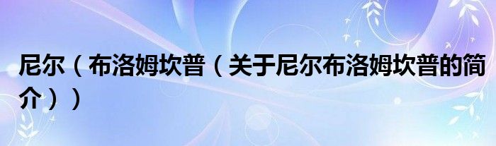 尼尔（布洛姆坎普（关于尼尔布洛姆坎普的简介））