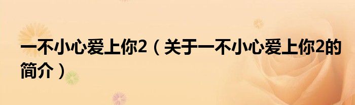 一不小心爱上你2（关于一不小心爱上你2的简介）