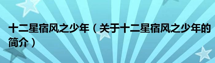 十二星宿风之少年（关于十二星宿风之少年的简介）