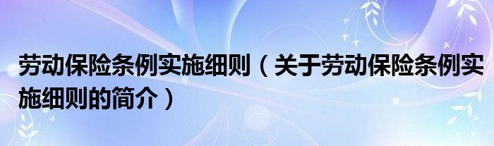 劳动保险条例实施细则（关于劳动保险条例实施细则的简介）
