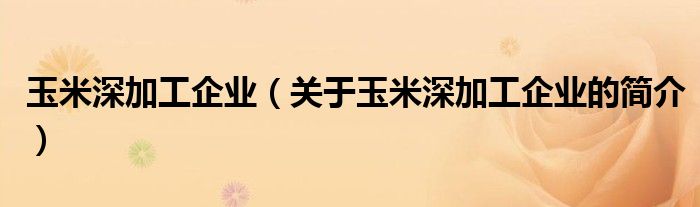 玉米深加工企业（关于玉米深加工企业的简介）