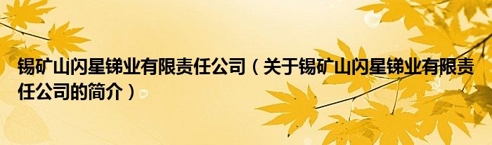锡矿山闪星锑业有限责任公司（关于锡矿山闪星锑业有限责任公司的简介）