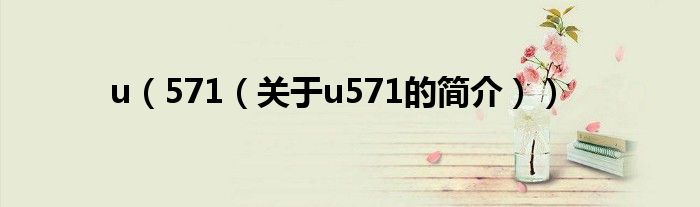 u（571（关于u571的简介））