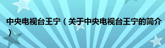 中央电视台王宁（关于中央电视台王宁的简介）