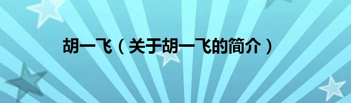 胡一飞（关于胡一飞的简介）