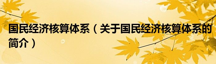 国民经济核算体系（关于国民经济核算体系的简介）