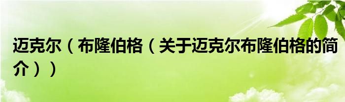 迈克尔（布隆伯格（关于迈克尔布隆伯格的简介））