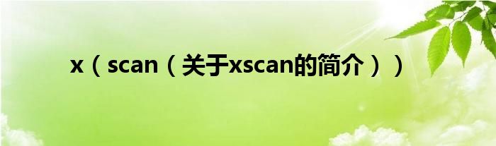 x（scan（关于xscan的简介））